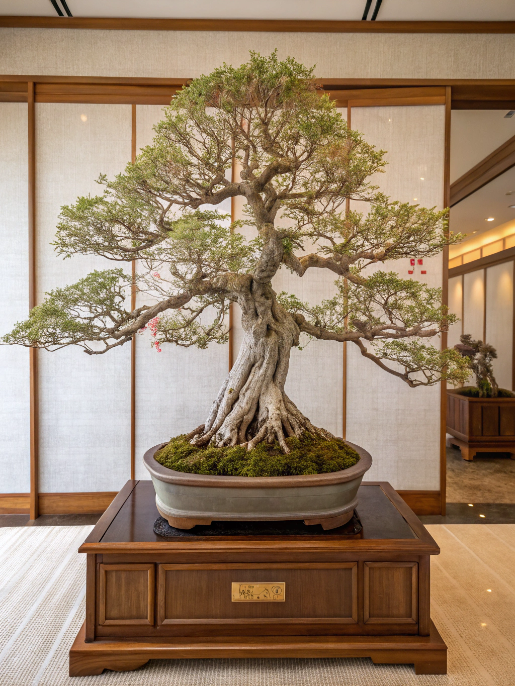 You are currently viewing The Complete Guide to Bonsai Trees for Beginners
